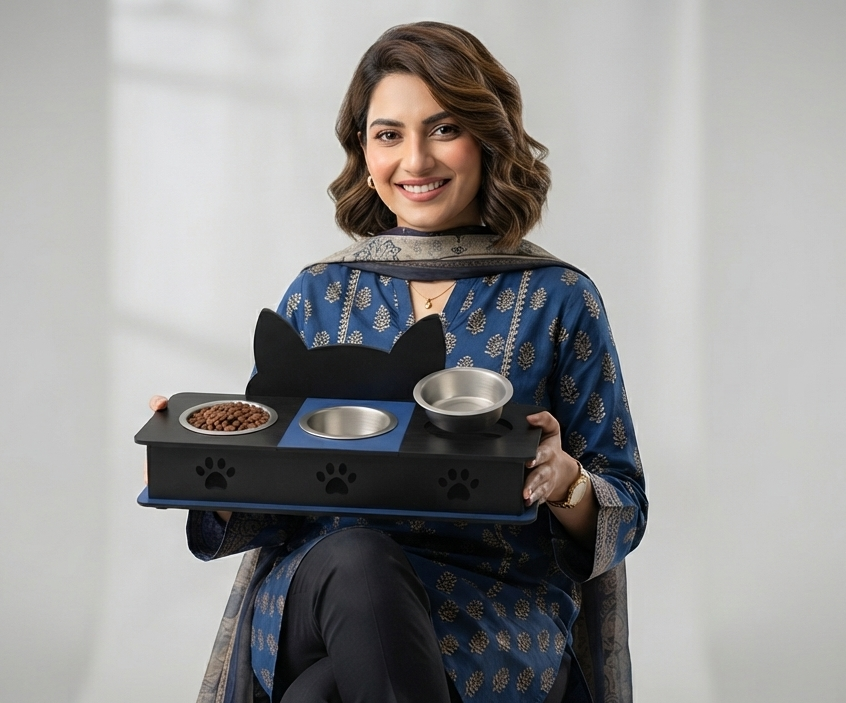 3 Bowl Cat Feeder Bowl Stand in Pakistan