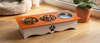 A pet elevated feeder and water bowl stand on a wooden floor near a window. The stand has a white base with a black paw print, a bright orange top panel, and three bowls: two filled with dry food and one empty stainless steel bowl.