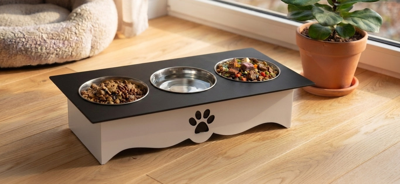 An elevated double pet feeder with two stainless steel bowls filled with dry food and one empty water bowl, placed on a light wood floor near a window with a potted plant and a pet bed in the background.