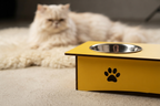 Premium Wooden Double Bowl Cat Feeder Stand with Stainless Steel Bowls