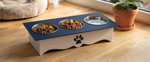 A raised pet feeder and waterer stand with a dark blue top, white base, and a black paw print logo. It holds two bowls of dry food and one empty water bowl, set on a light wood floor next to a potted plant.